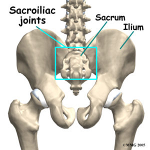 SIJ